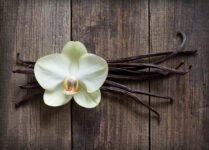 Modern Vanilla Fragrances – The Perfume Society